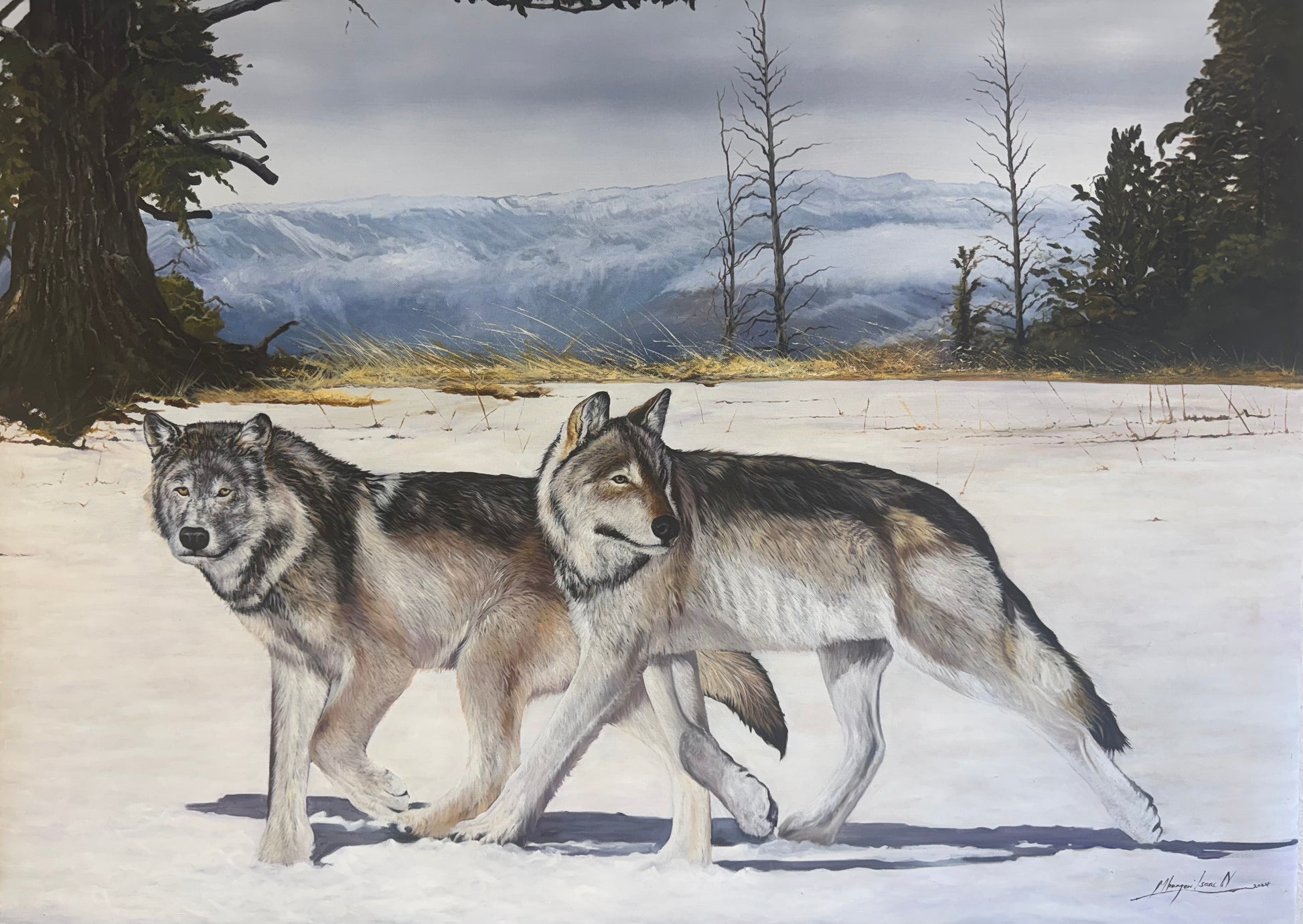 Wolves Roaming Orignal