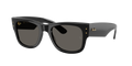 Ray-Ban Mega Wayfarer Blacked Out RB0840SF