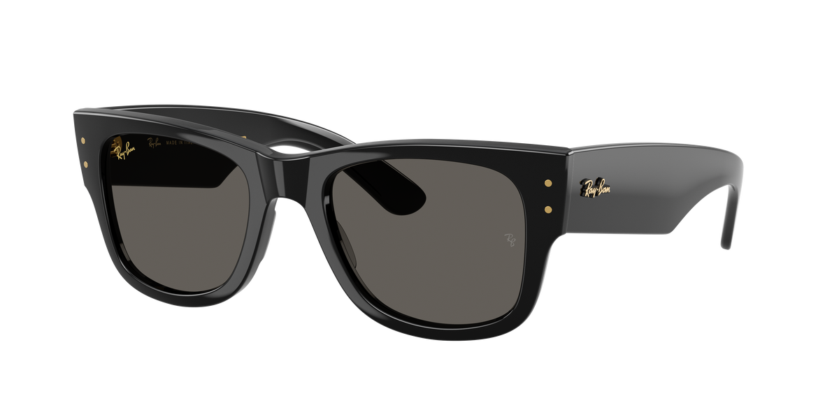 Ray-Ban Mega Wayfarer Blacked Out RB0840SF