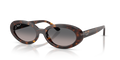 Ray-Ban RB2223 902/M3