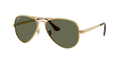 Ray-Ban Aviator Max RB3925 - Arista Gold Polarized