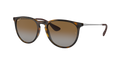 Ray-Ban Erika RB4171 - Light Havana Polarized
