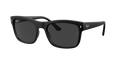 Ray-Ban RB4428 - Matte Black / Black Polarized