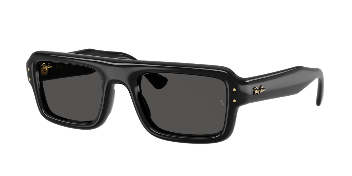 Ray-Ban Flacko Puffer RB4954 Black Ultra Black