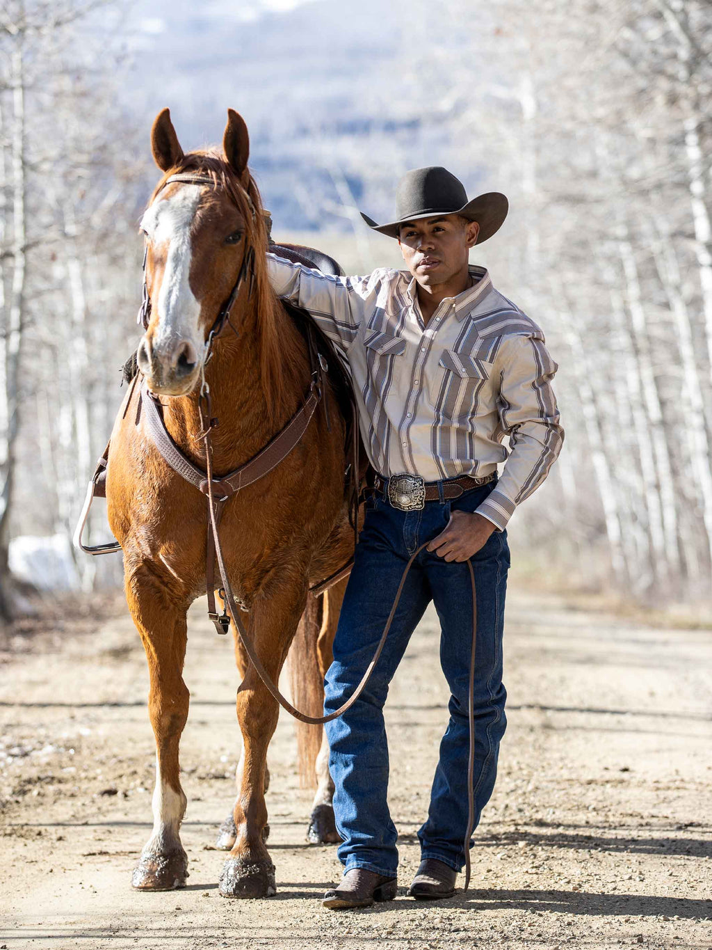 Western Stretch Snap Shirt