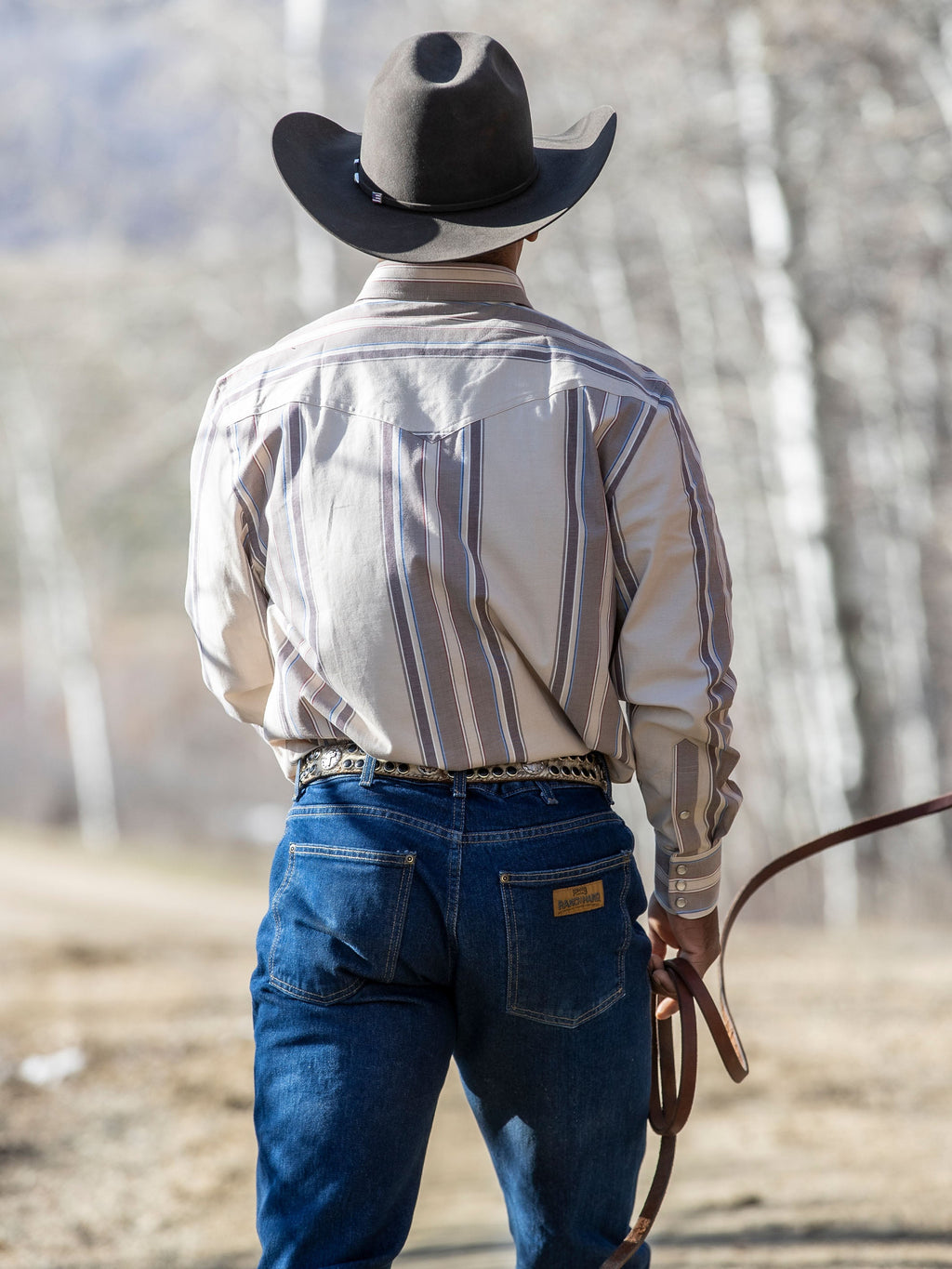 Western Stretch Snap Shirt